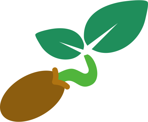 Seed Sprouting PNG Image
