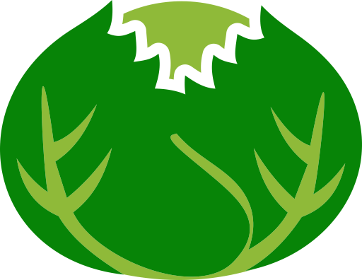 Cabbage PNG Image