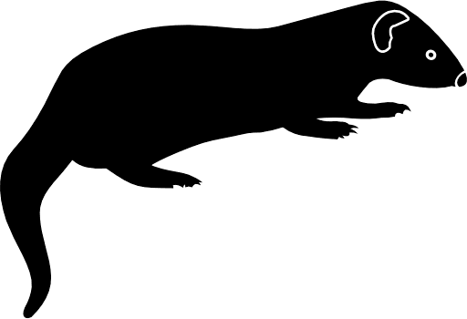 Mongoose Black PNG Image
