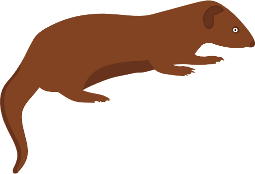 Mongoose Icon