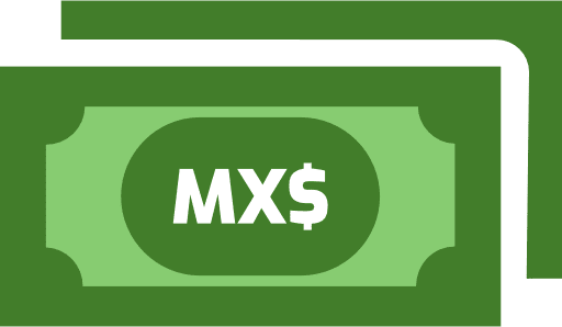 Mexican Peso Notes Color PNG Image