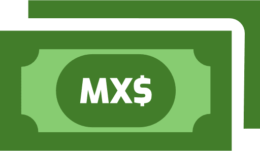 Mexican Peso Notes Color Icon