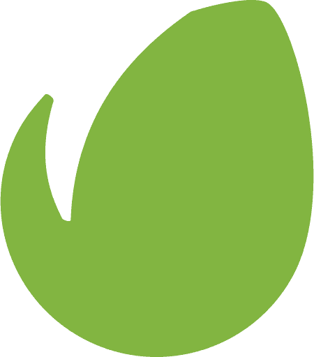Envato Logo PNG Image