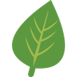 Herb Green Leaf icon