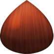 Chestnut Emoji Icon File HD icon