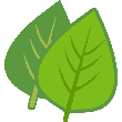 Leafs Color icon