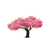 Pink Blossom Cherry National Festival Japan Icon