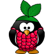Raspberry Icons Computer Linux Party Pi Arch