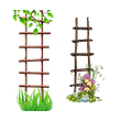 Ladder Flower Frame Albom Icon Free Download Image