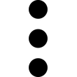3 Vertical Dots icon