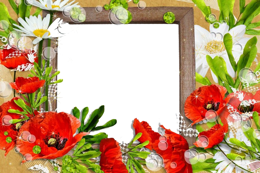 Download Picture Flower Frame Pic Application Editor Red HQ PNG Image