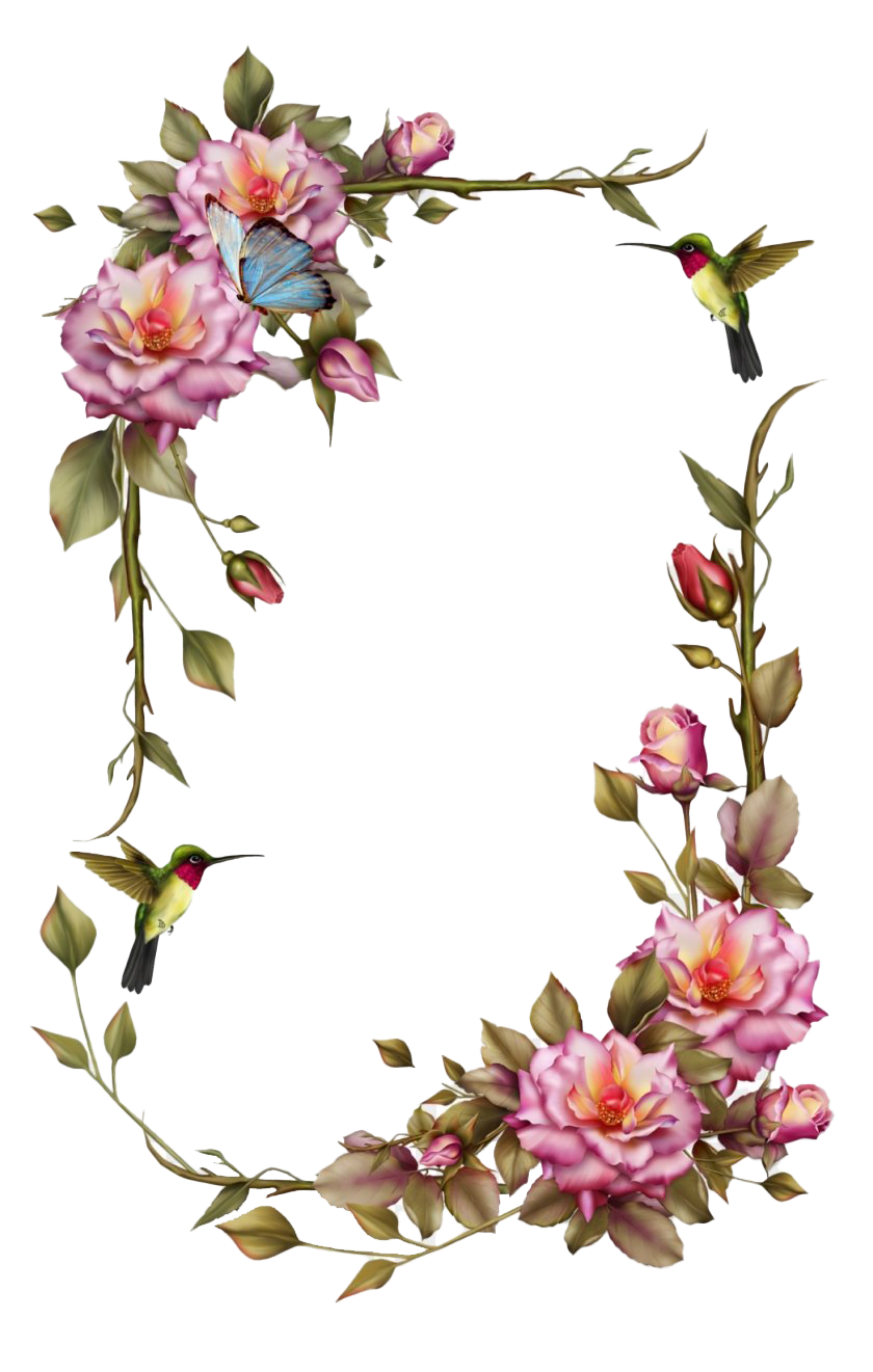 flower frame designs png