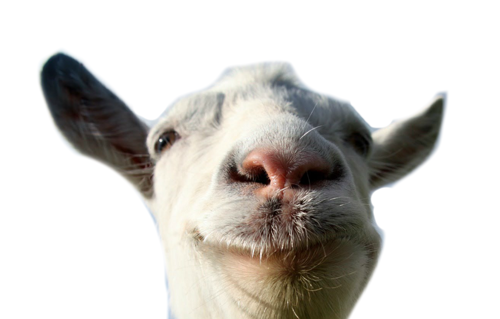 goat simulator logo png