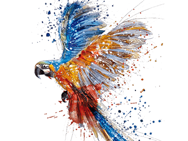 parrot gif images free download - Colaboratory