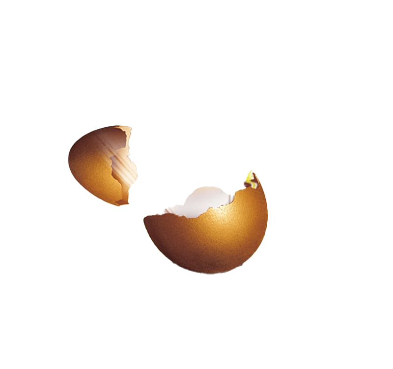 cracked egg png