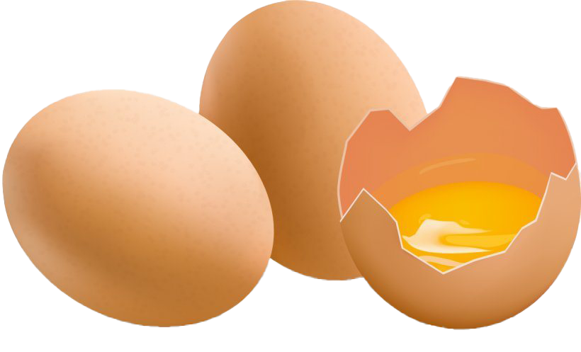 Download Plain Cracked Easter Egg HQ Image Free HQ PNG Image