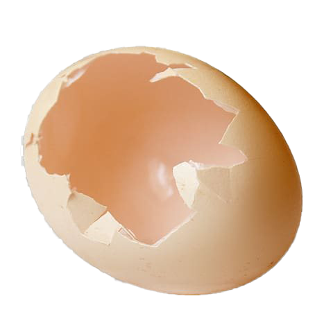 Download Plain Cracked Easter Egg HQ Image Free HQ PNG Image