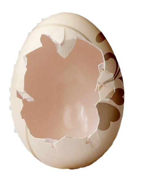 Download Plain Cracked Easter Egg HQ Image Free HQ PNG Image