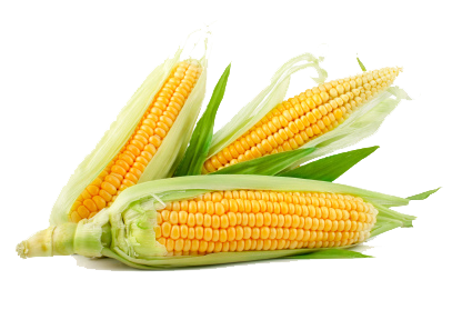 corn png