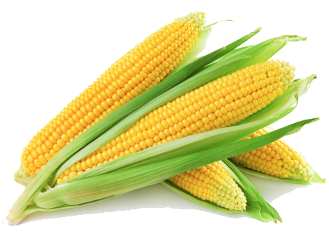 corn png