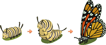 caterpillar butterfly clipart