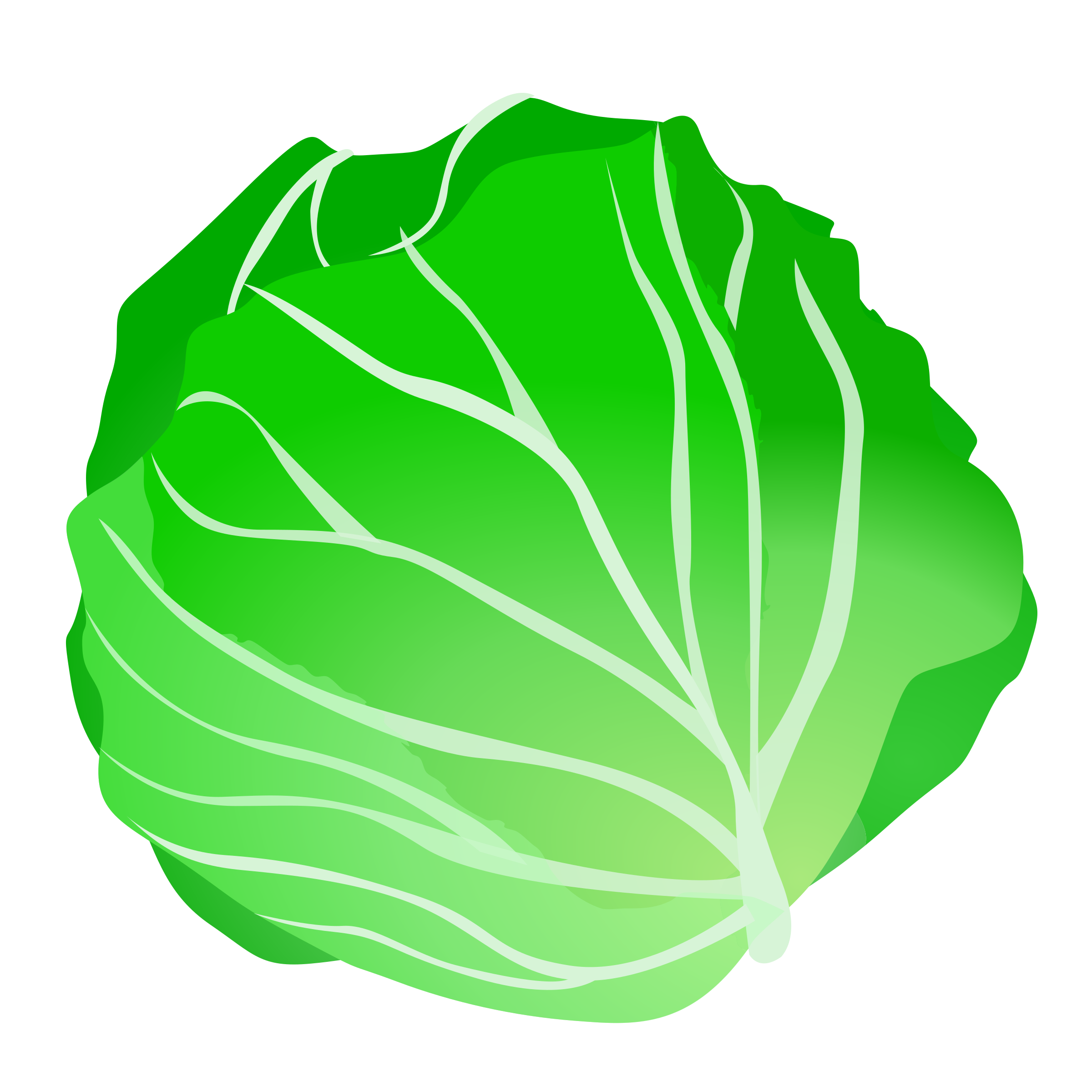 cabbage png