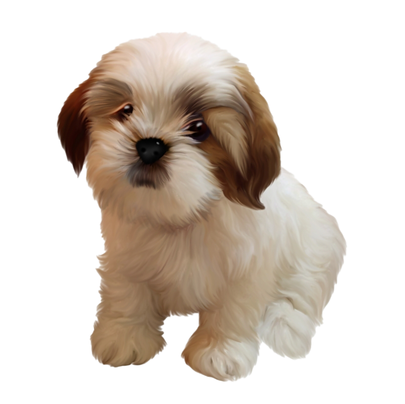 Puppy png best sale