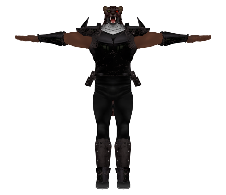 tekken 2 armor king