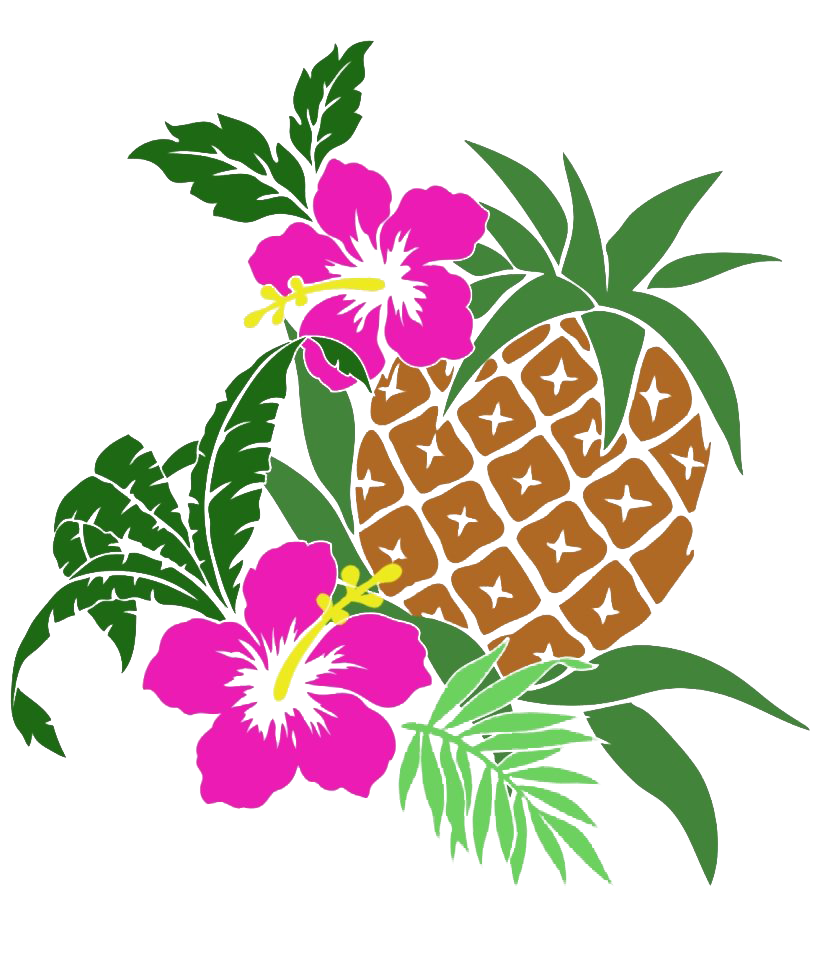 Hawaiian Aloha , aloha transparent background PNG clipart