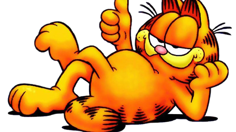 funny garfield wallpapers