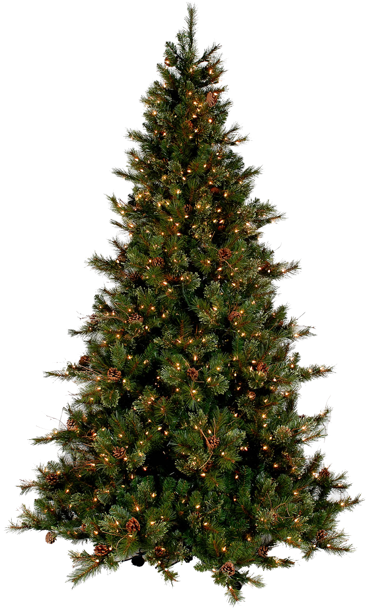 real christmas tree background