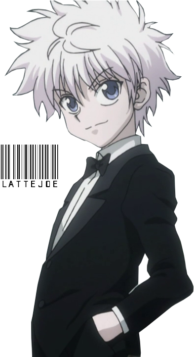 Killua Hunter X - Free photo on Pixabay - Pixabay