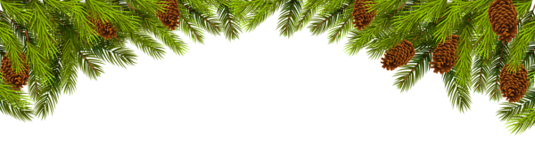 Christmas Tree Branches PNG Transparent Images Free Download