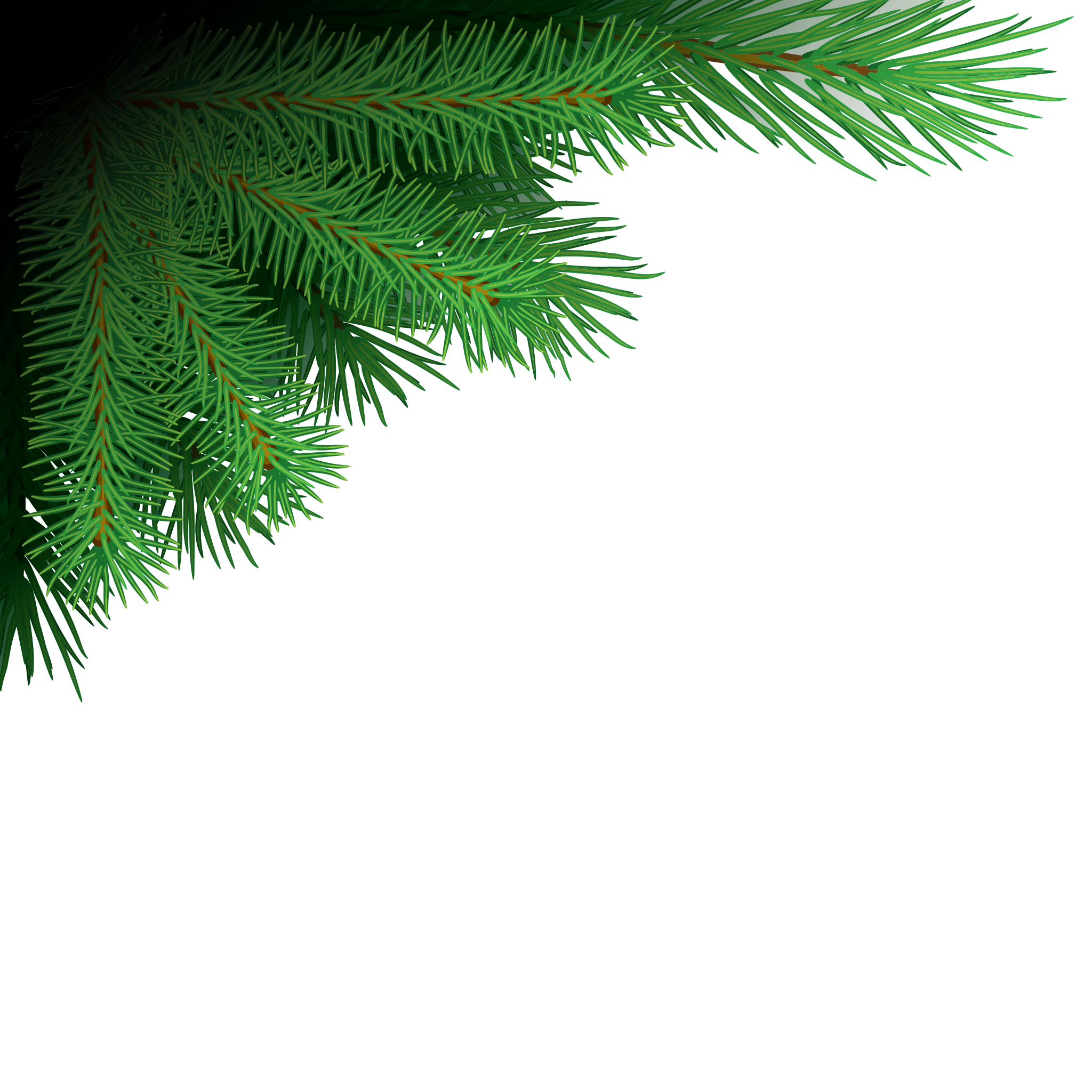 Download Branches Christmas PNG Free Photo HQ PNG Image