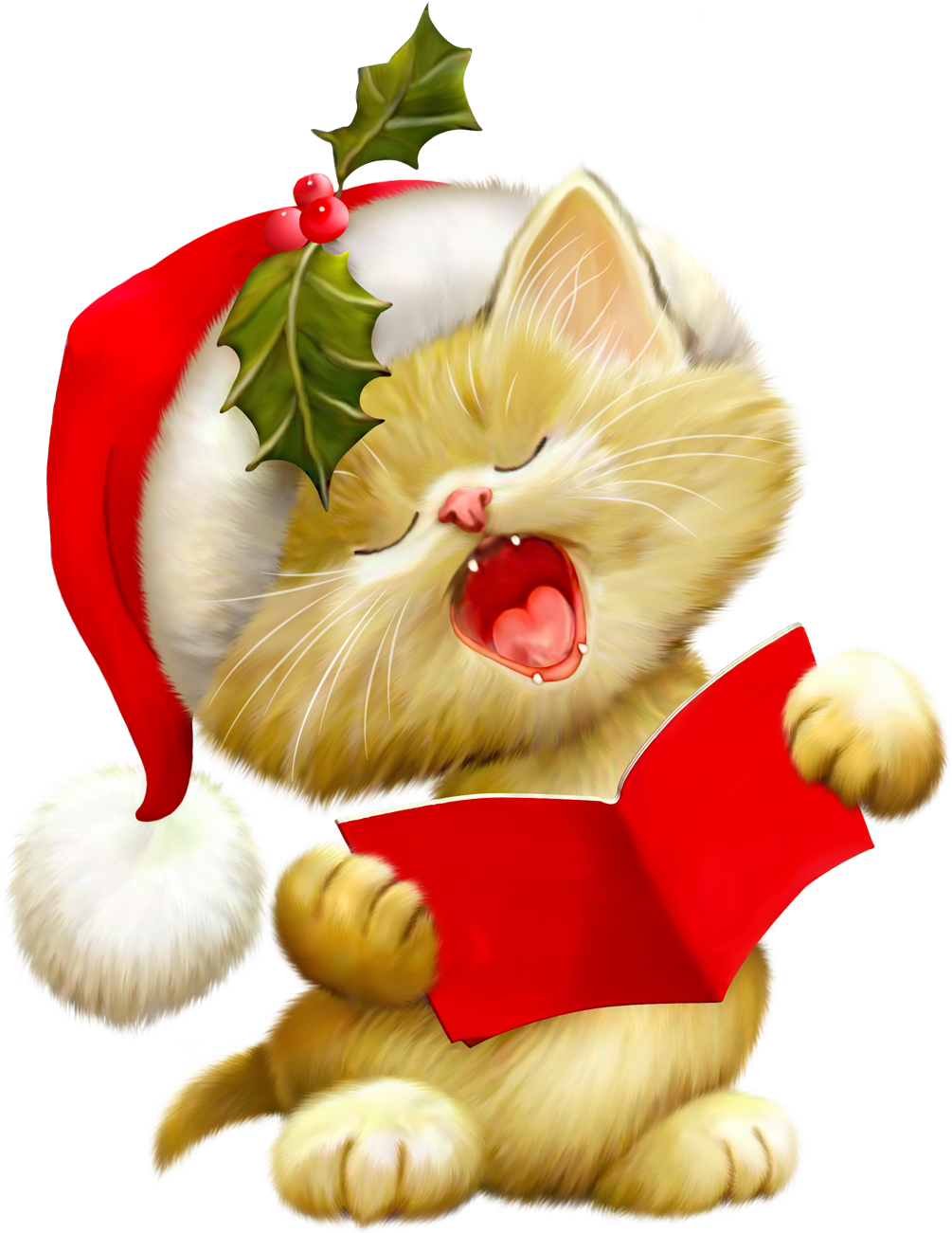 Cat Icon png download - 800*600 - Free Transparent Cat png