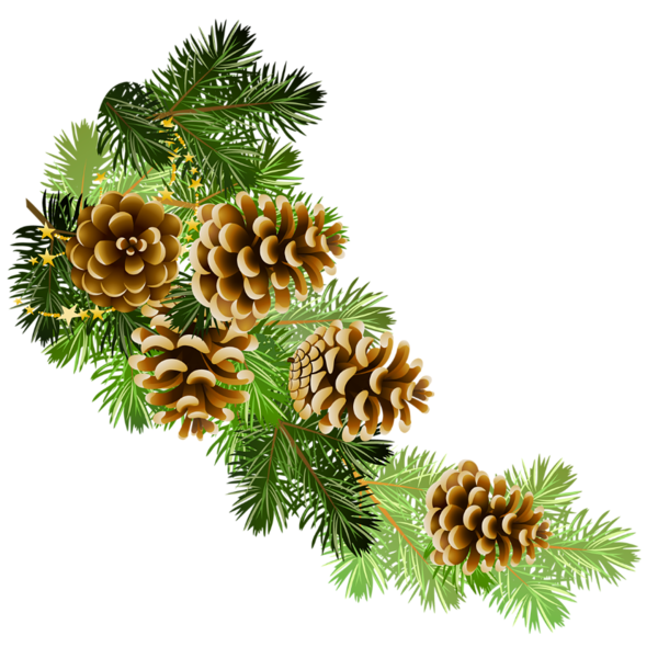 christmas pine cone clip art