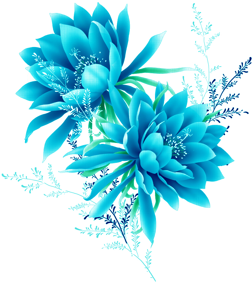 abstract flower png