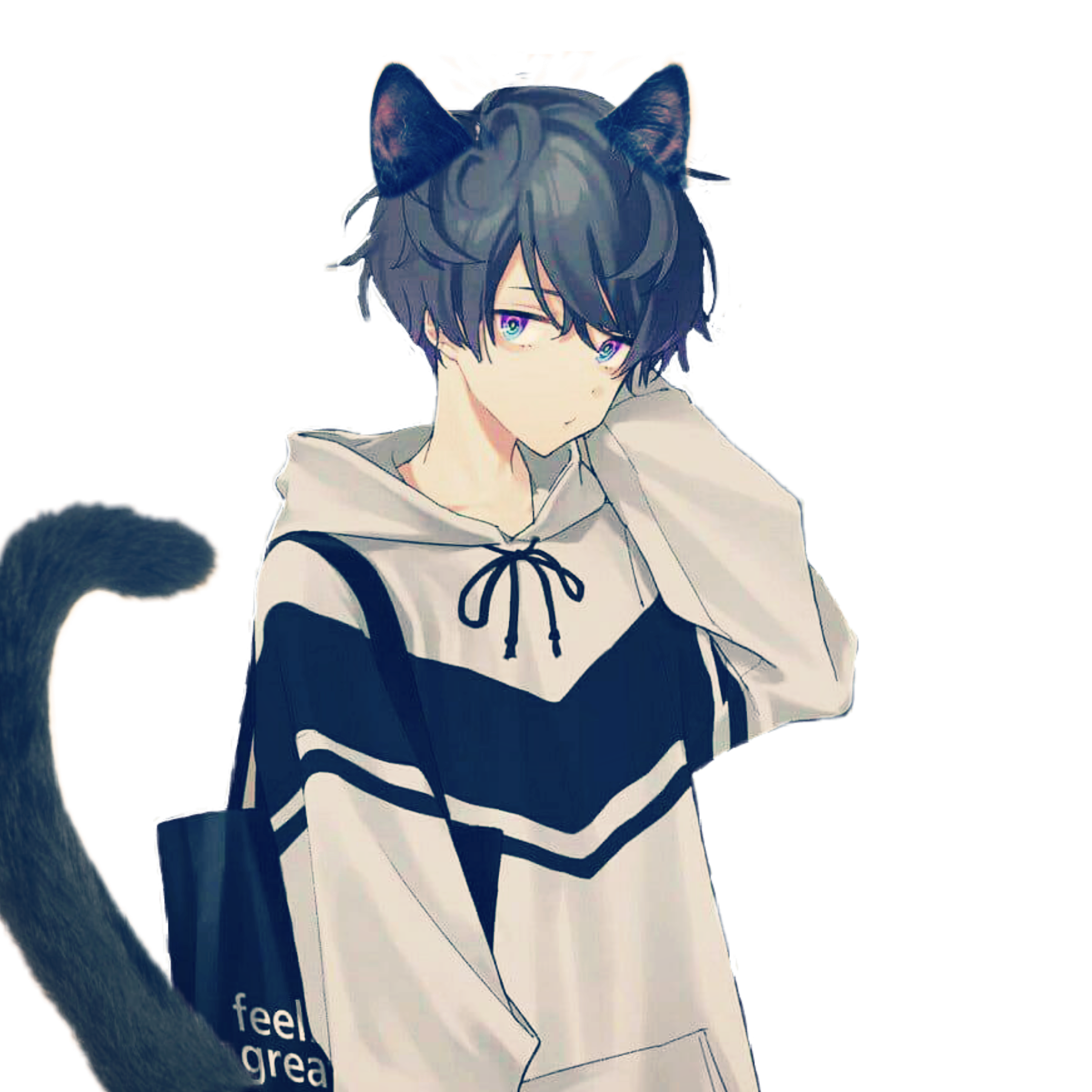 Anime Cat Pfp - Top 13 Anime Cat Pfp, Avatar, Dp, icon [ HQ ]