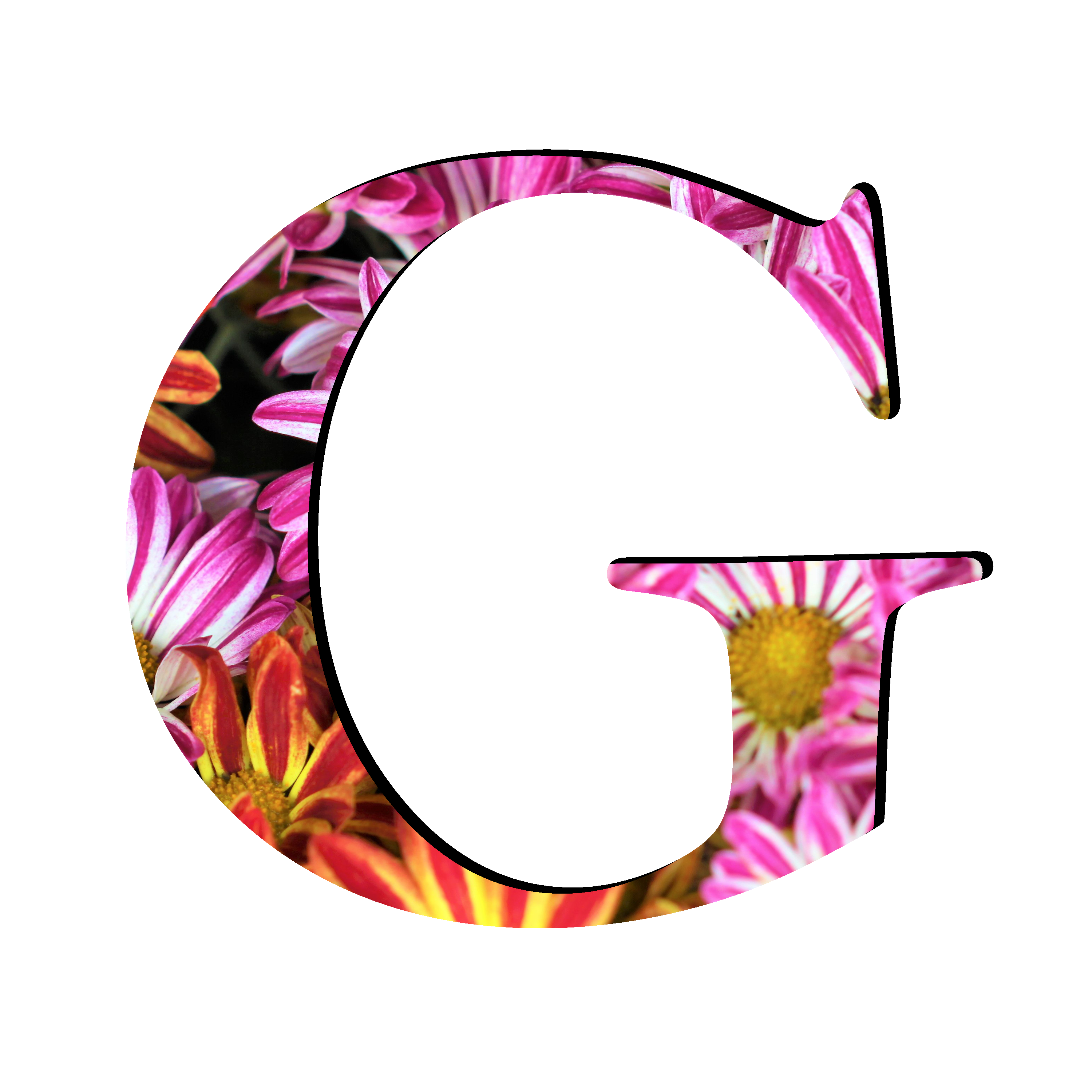 letter g png