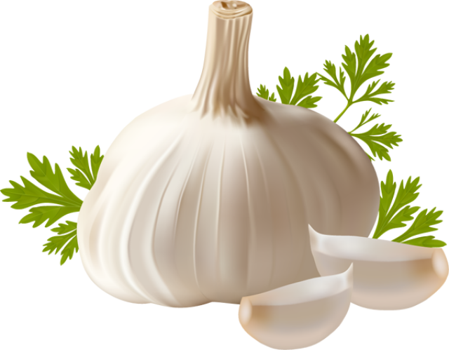 garlic png