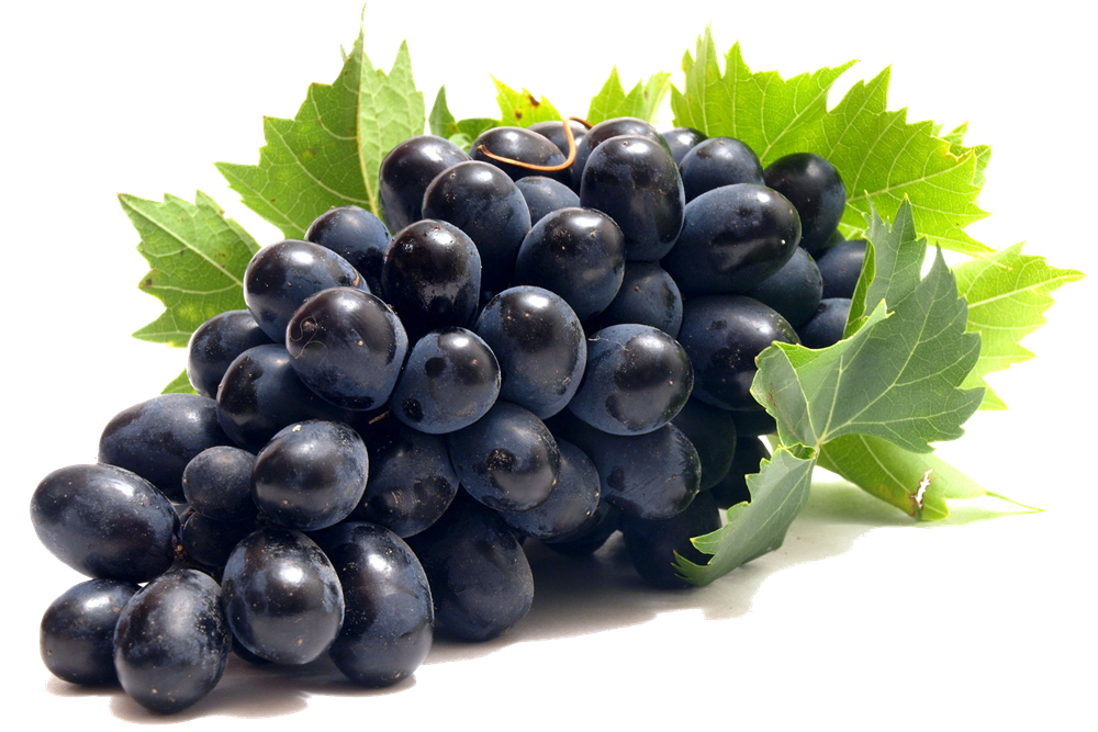 grape png