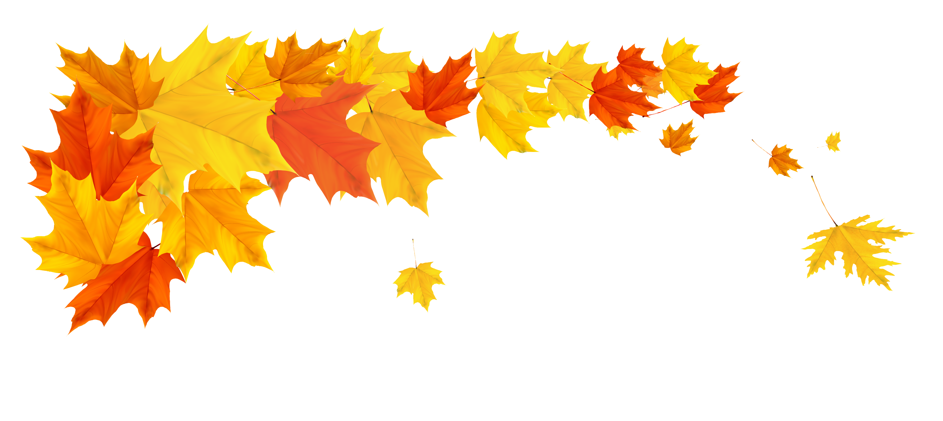 autumn leaf png