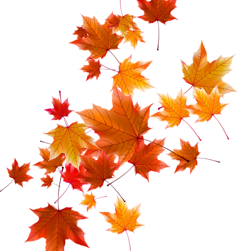 autumn leaves vector png