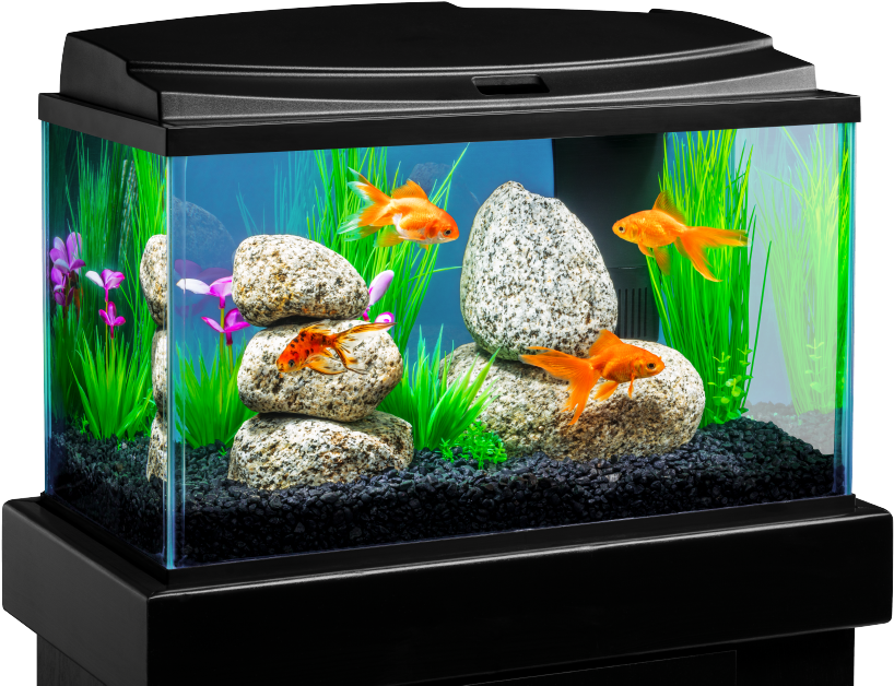 Aquarium png store