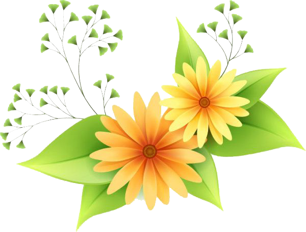 Flower transparent background PNG cliparts free download