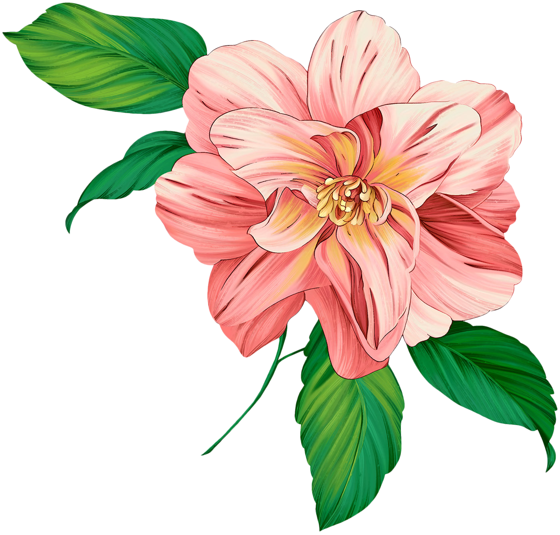 Download Flower Artwork Free Clipart HD HQ PNG Image