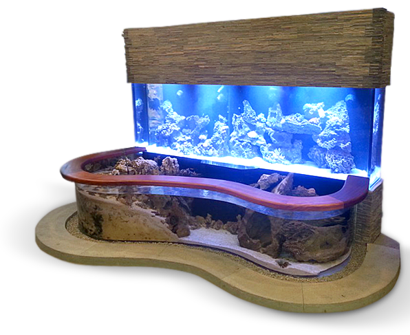 expensive fish tanks