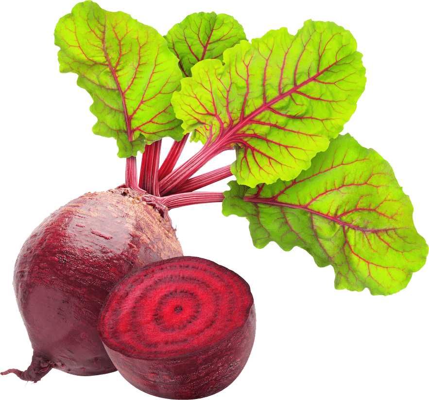 beetroot clipart black and white free