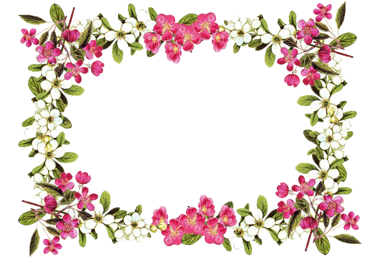 clipart spring flowers border