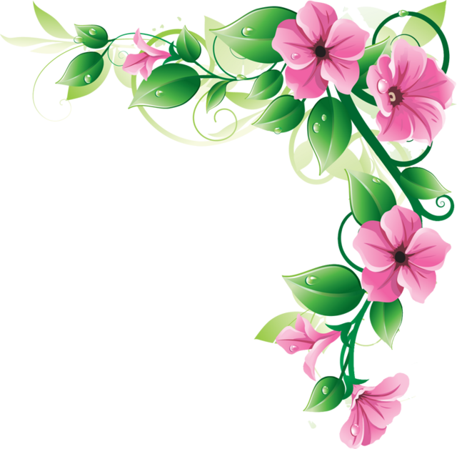 floral pattern border png